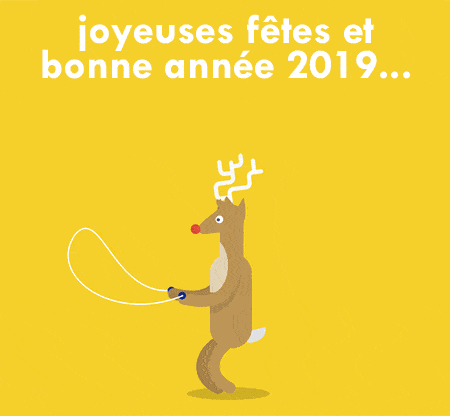 image-bonne-année-2019-renne-sportif.gif